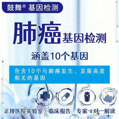 Αγορά NGS 10 Γενικές δοκιμές 10 στοχευμένες γενετικές δοκιμές για τον κίνδυνο καρκίνου του πνεύμονα online manufacture