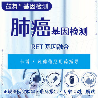 Αγορά RET Γενική σύντηξη FISH Γενετική δοκιμή για καρκίνο 6 εργάσιμες ημέρες κύκλος online manufacture